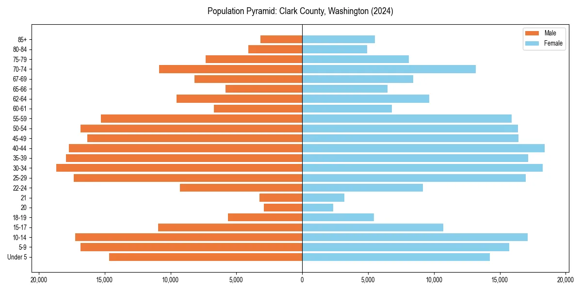 Population pyramid for 