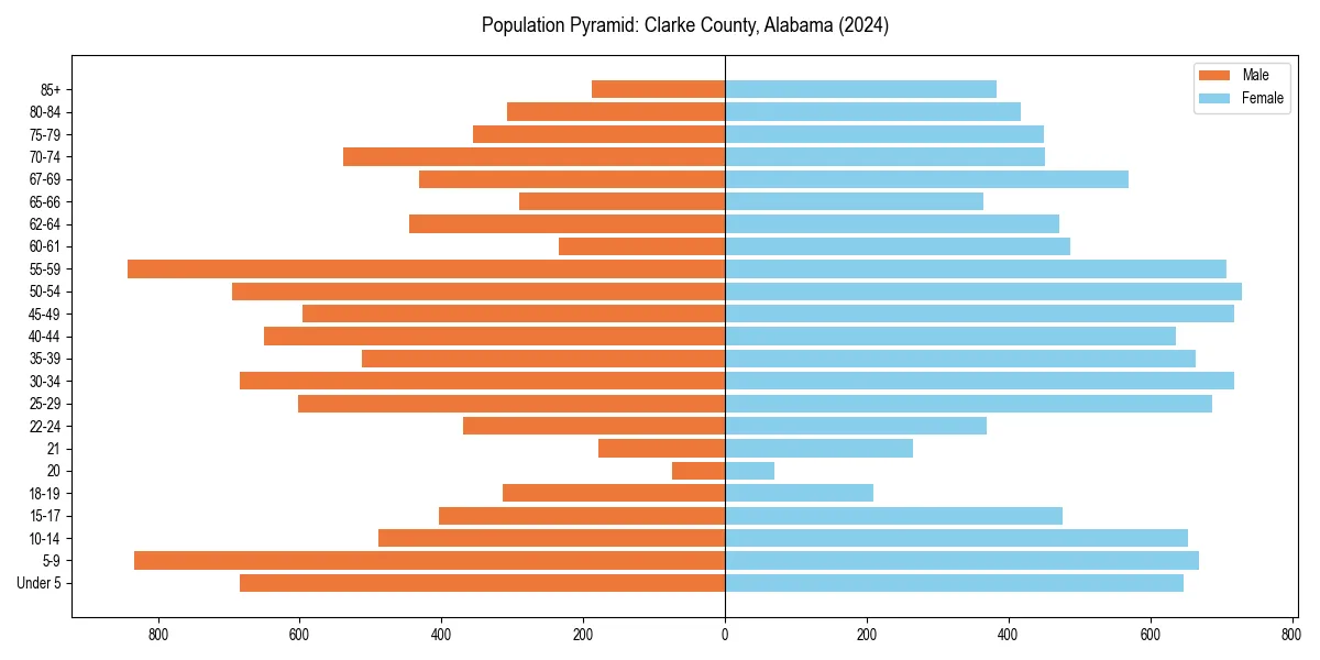 Population pyramid for 