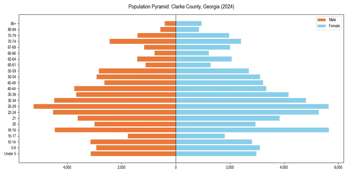 Population pyramid for 