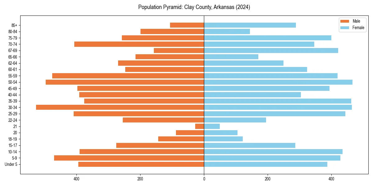 Population pyramid for 