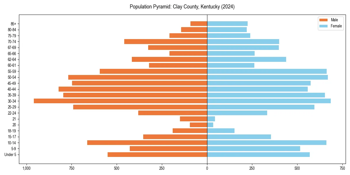 Population pyramid for 