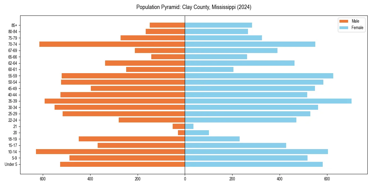 Population pyramid for 
