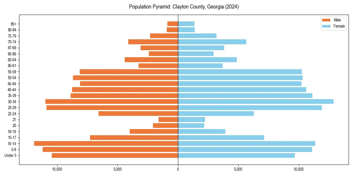 Population pyramid for 