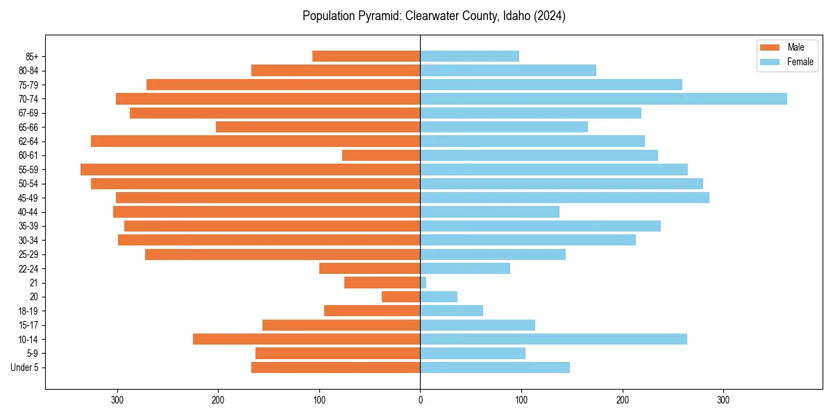 Population pyramid for 