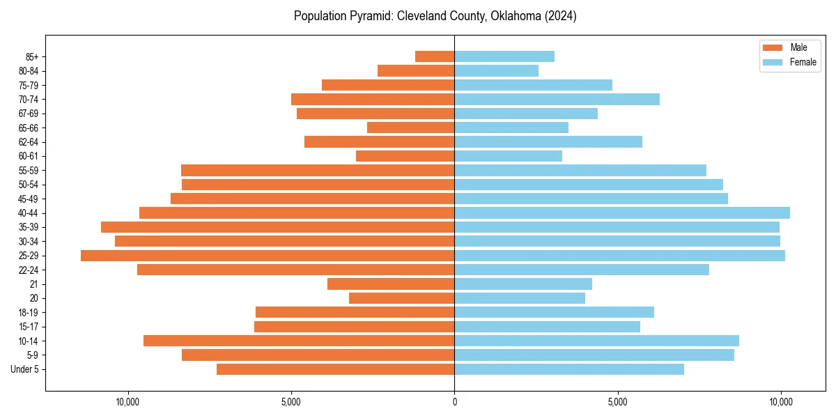 Population pyramid for 