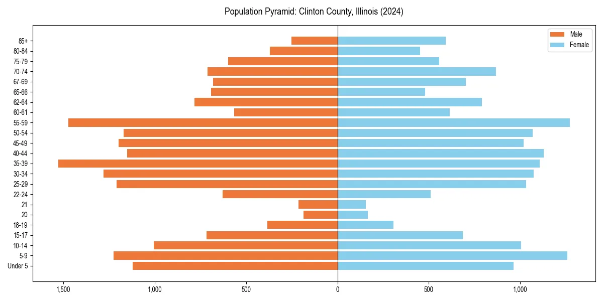 Population pyramid for 