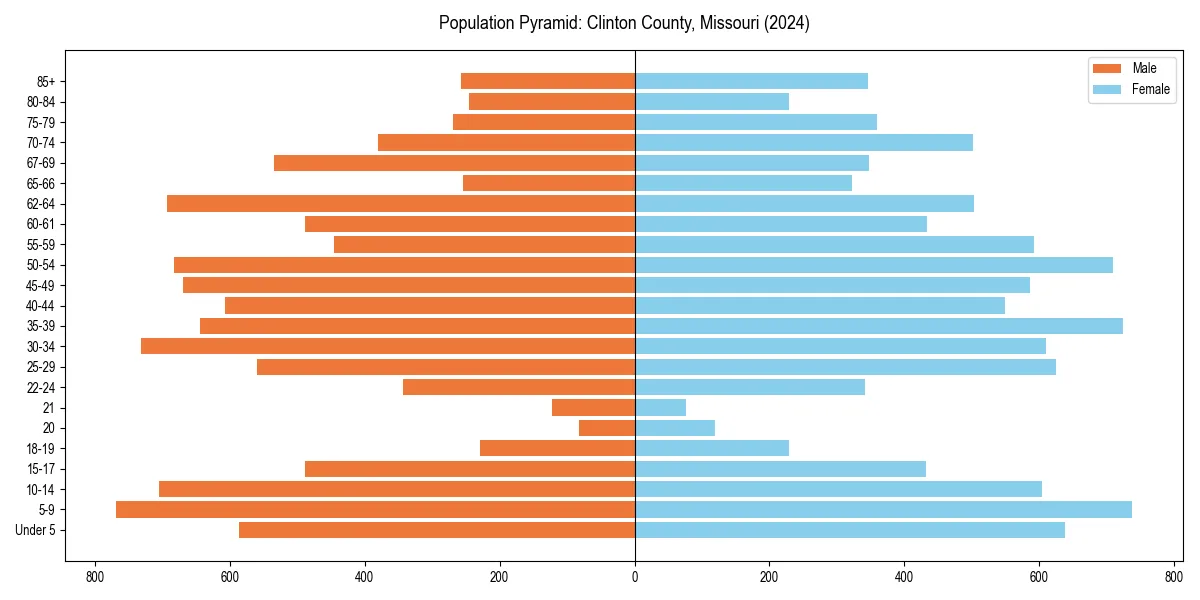 Population pyramid for 