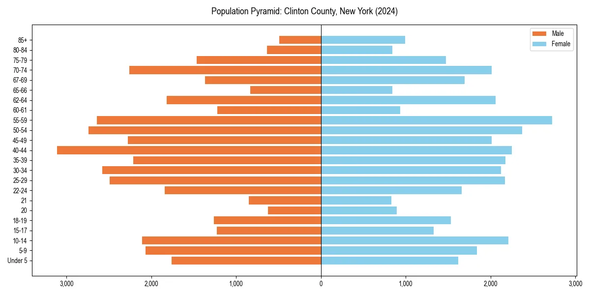 Population pyramid for 