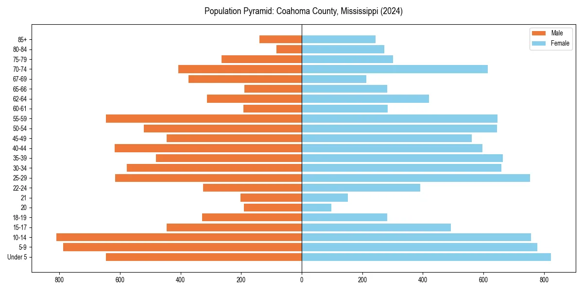 Population pyramid for 