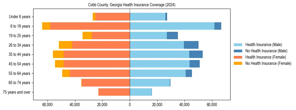 Health insurance pyramid for Cobb County, Georgia