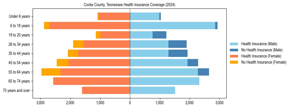 Health insurance pyramid for Cocke County, Tennessee