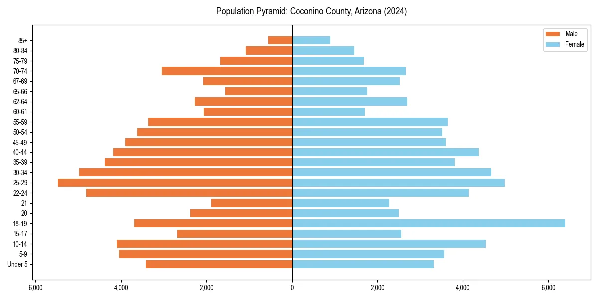 Population pyramid for 