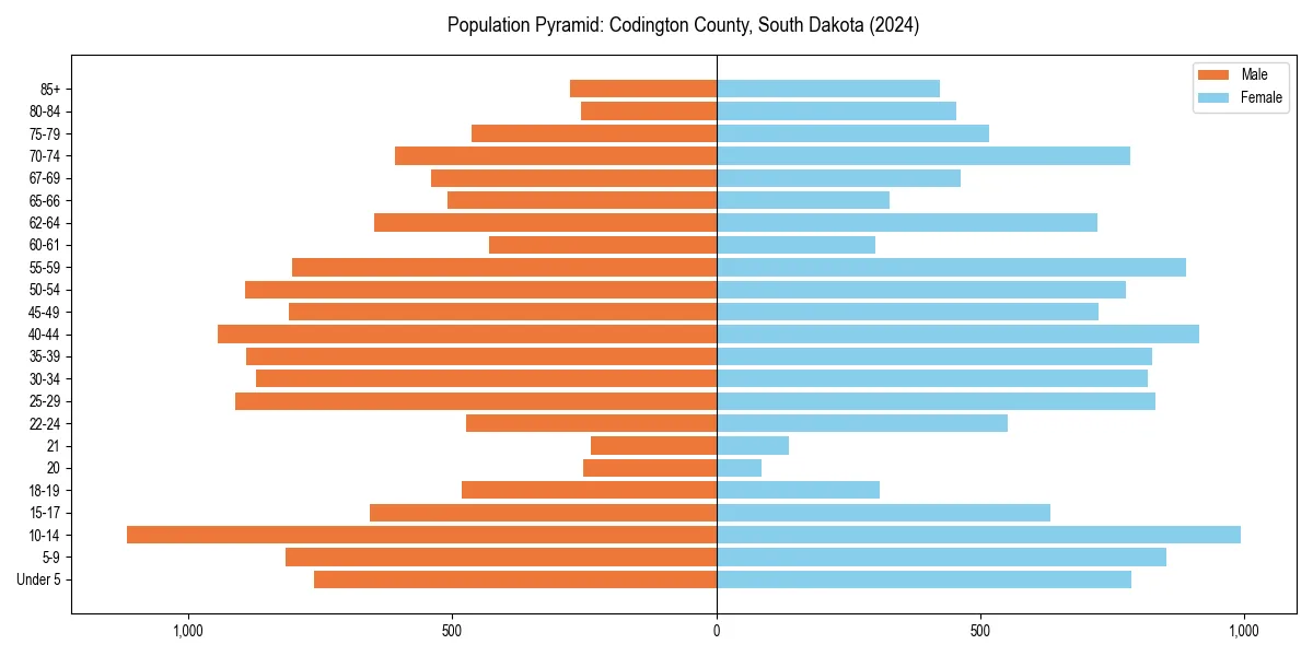 Population pyramid for 