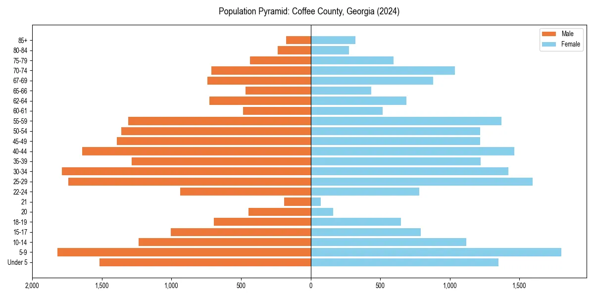 Population pyramid for 