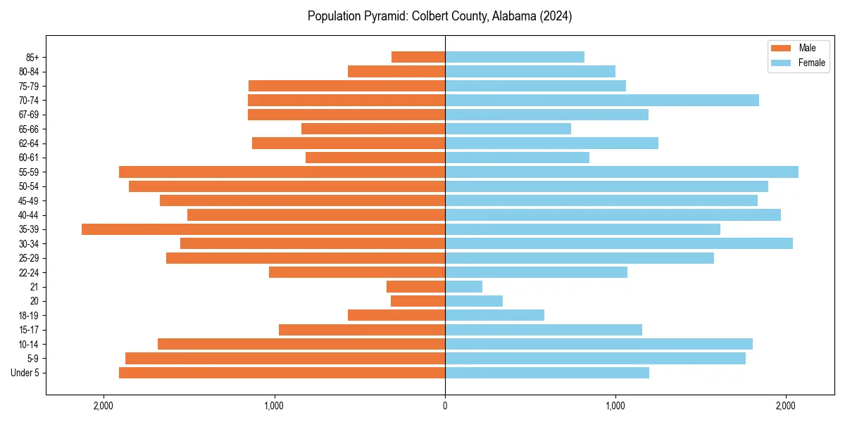 Population pyramid for 