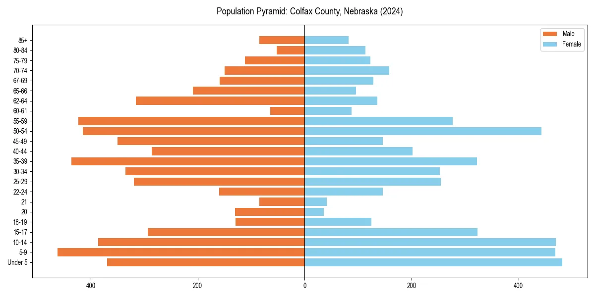 Population pyramid for 