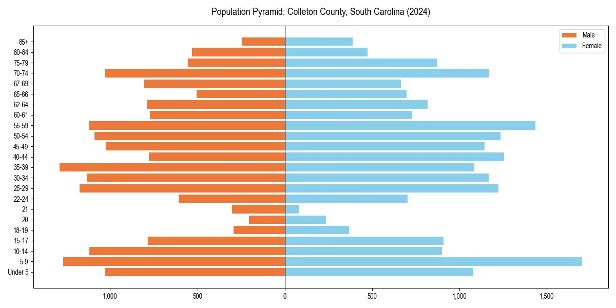 Population pyramid for 