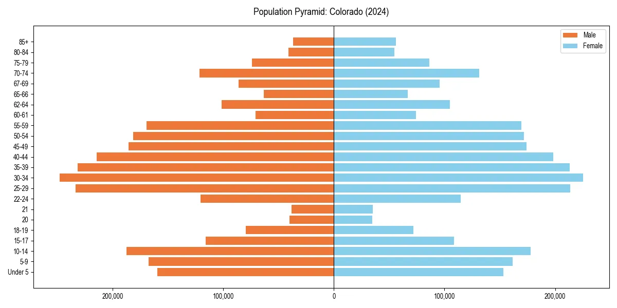 Population pyramid for 