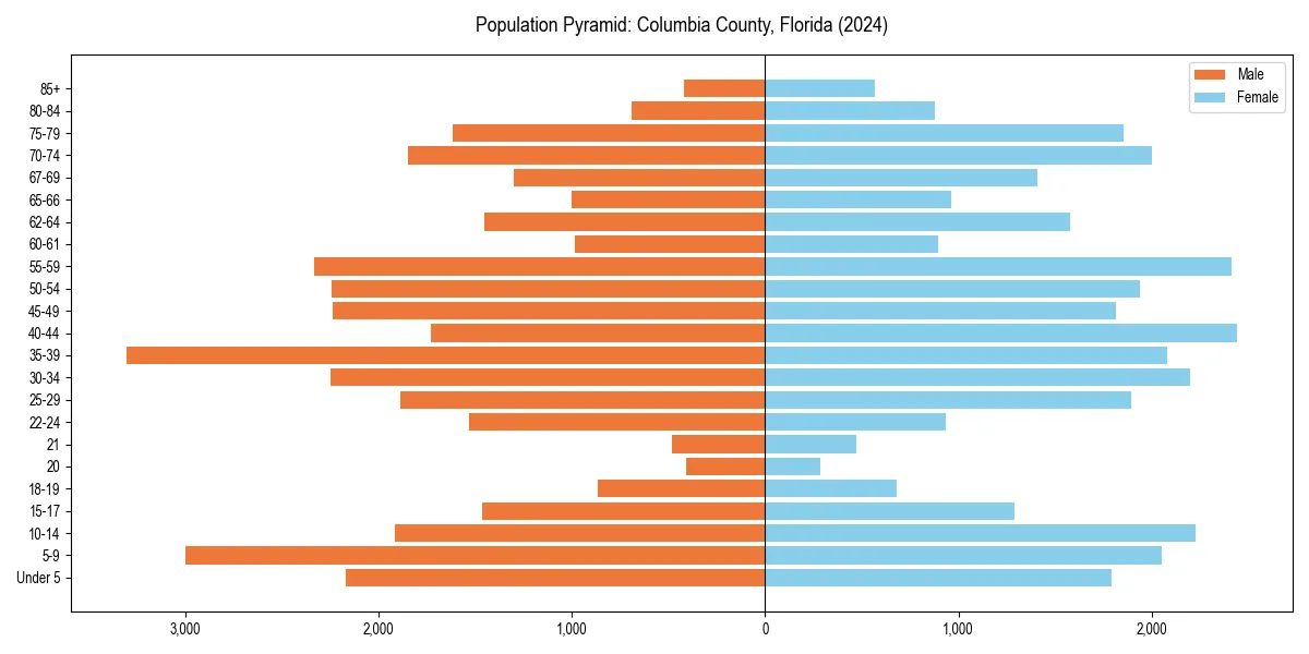 Population pyramid for 