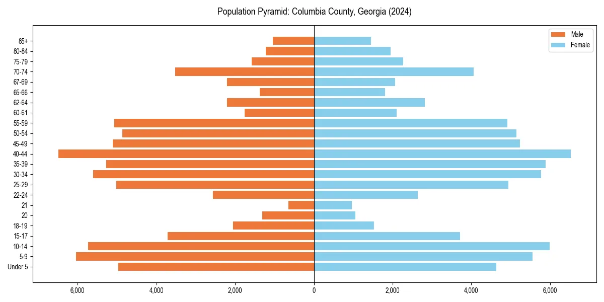 Population pyramid for 