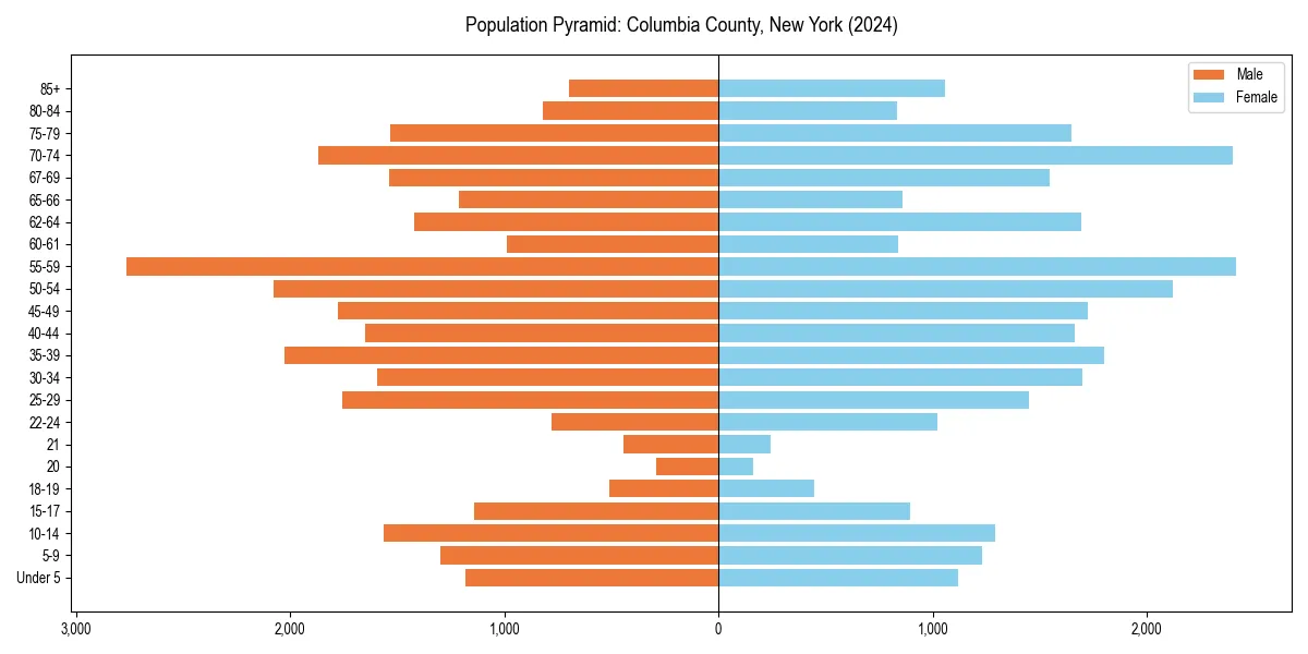 Population pyramid for 