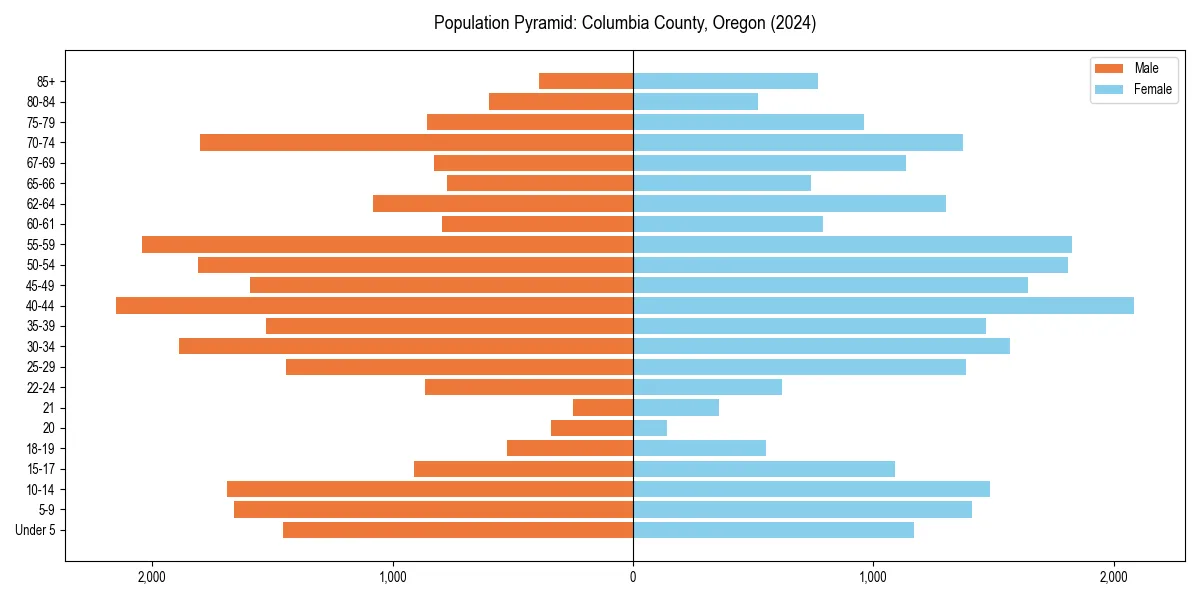 Population pyramid for 
