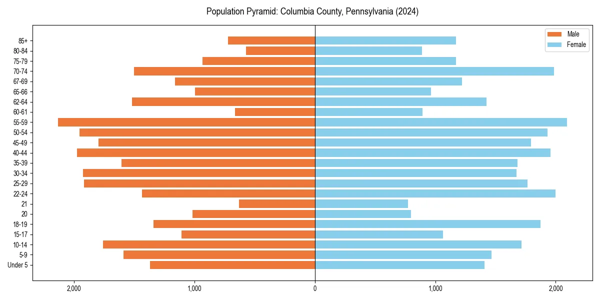 Population pyramid for 
