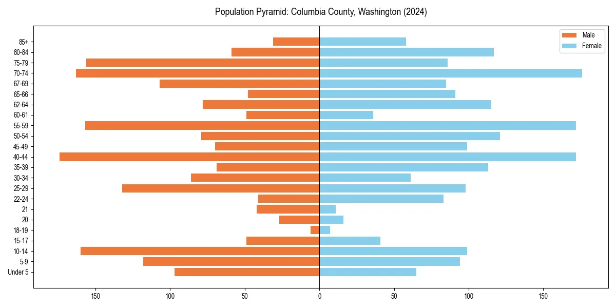 Population pyramid for 