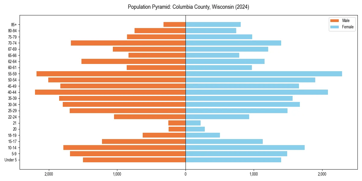 Population pyramid for 