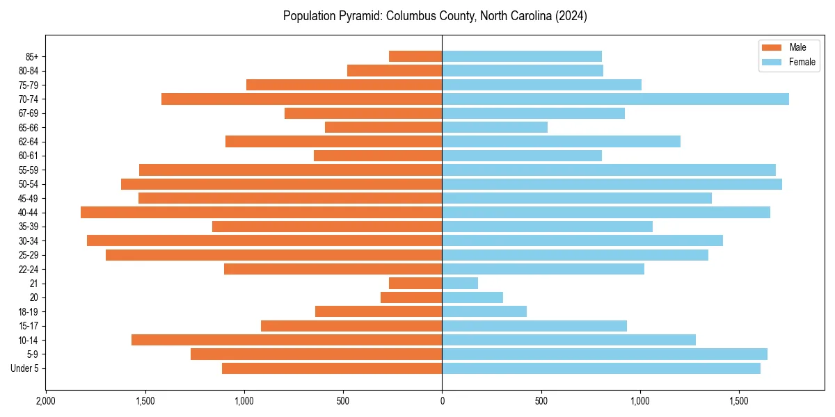 Population pyramid for 