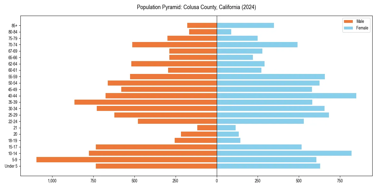 Population pyramid for 