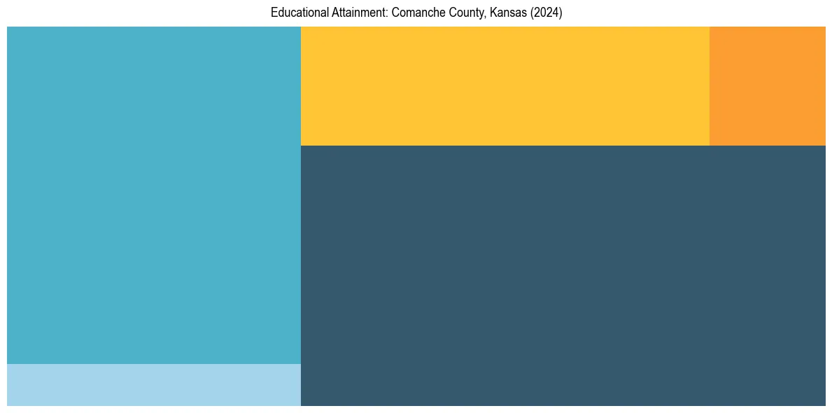 Education Treemap for  in 2024