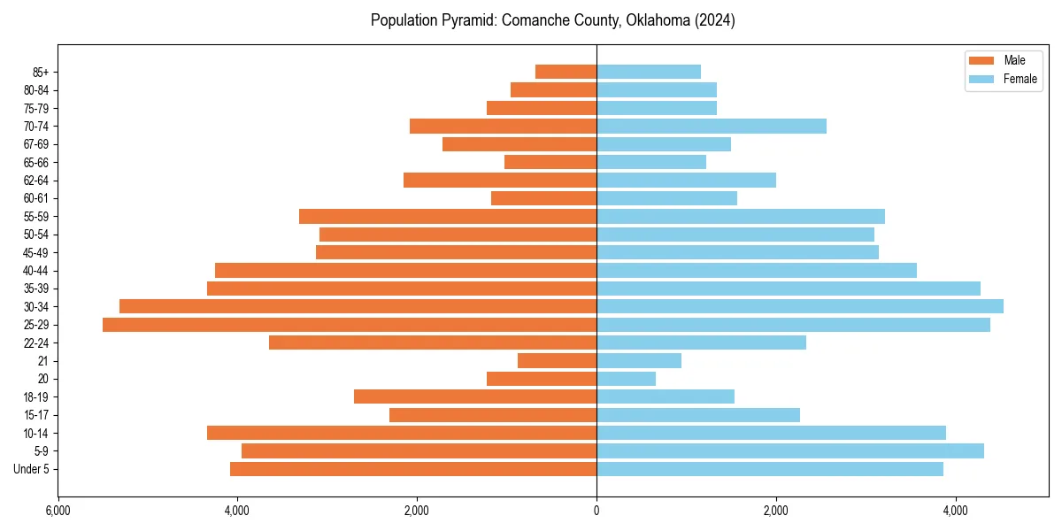 Population pyramid for 