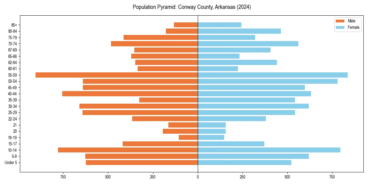 Population pyramid for 