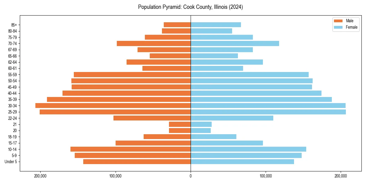 Population pyramid for 