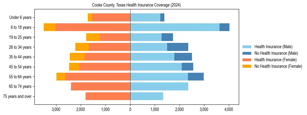 Health insurance pyramid for Cooke County, Texas