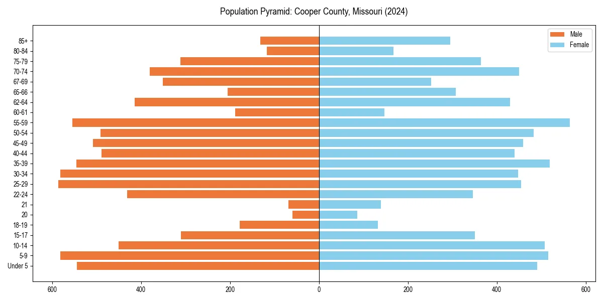 Population pyramid for 
