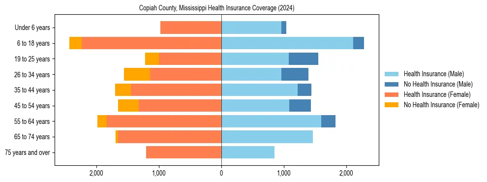 Health insurance pyramid for Copiah County, Mississippi