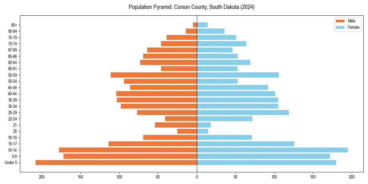 Population pyramid for 