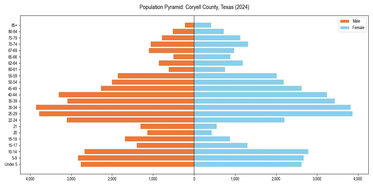 Population pyramid for 