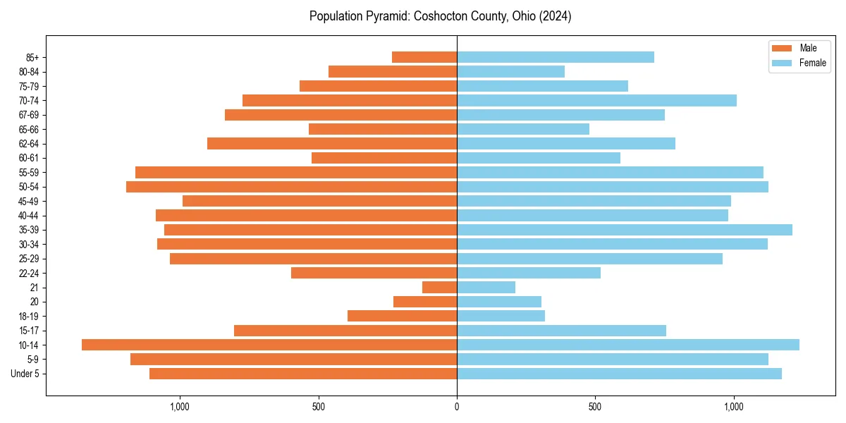 Population pyramid for 