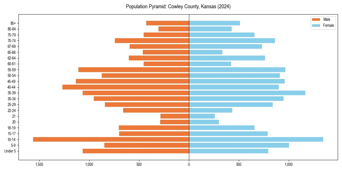 Population pyramid for 