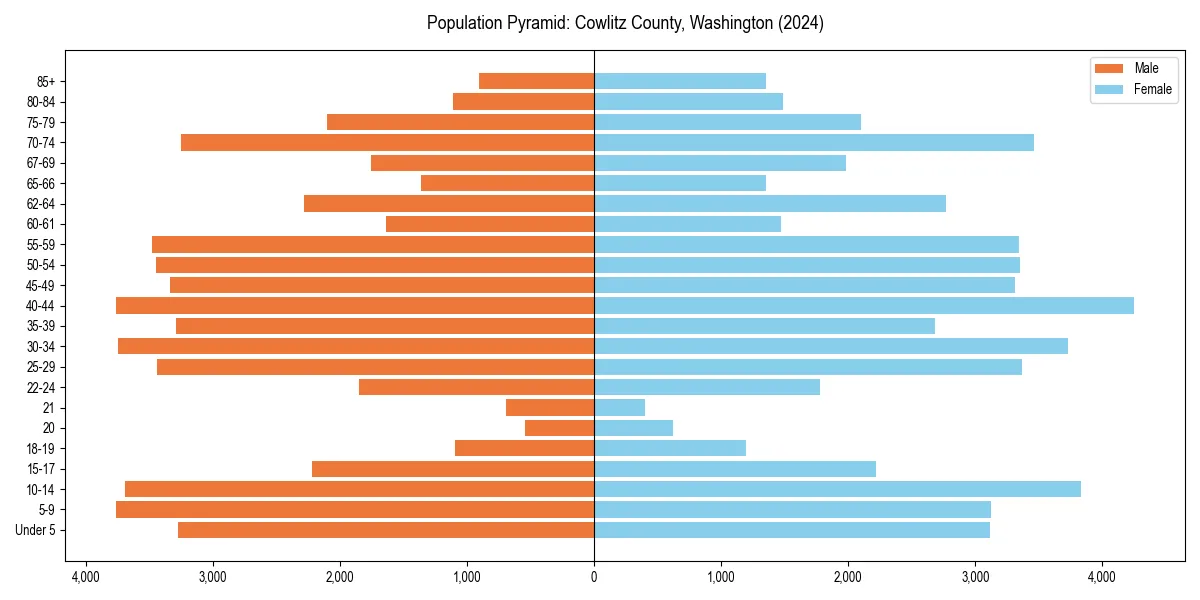 Population pyramid for 