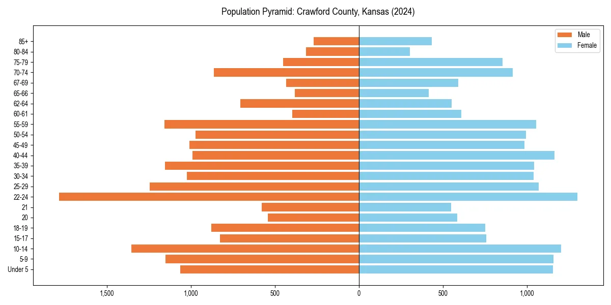 Population pyramid for 