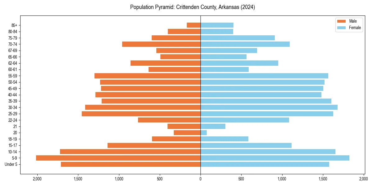 Population pyramid for 