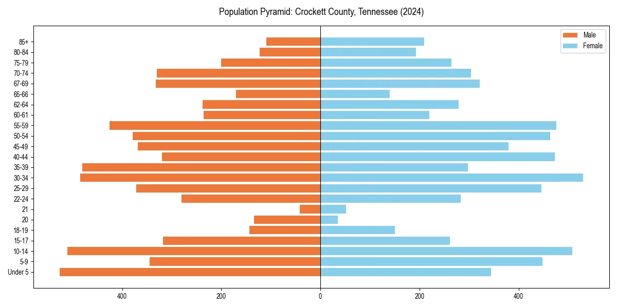 Population pyramid for 