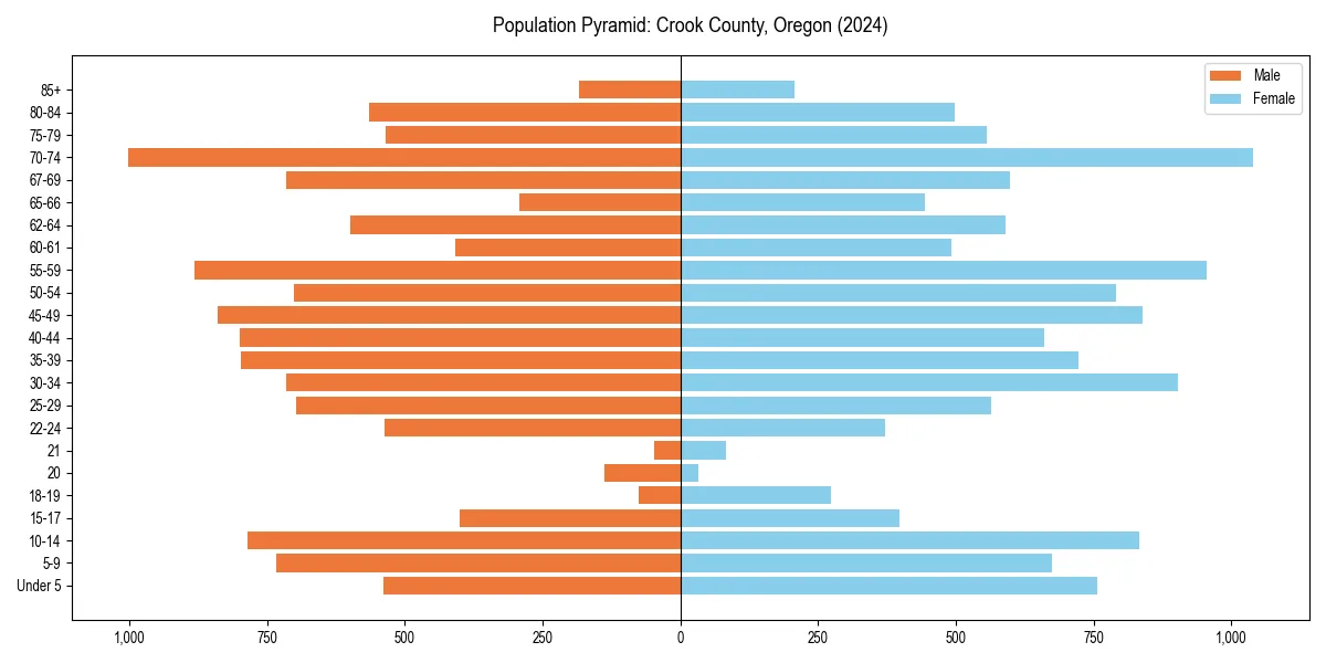 Population pyramid for 