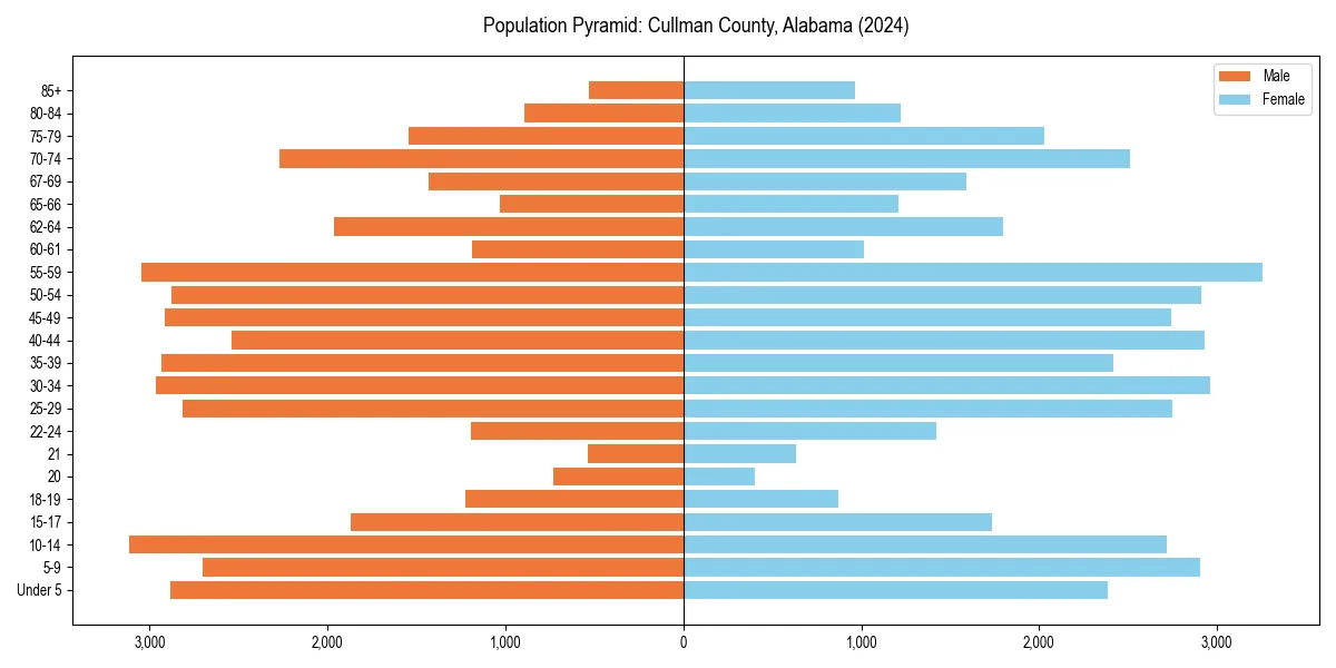 Population pyramid for 
