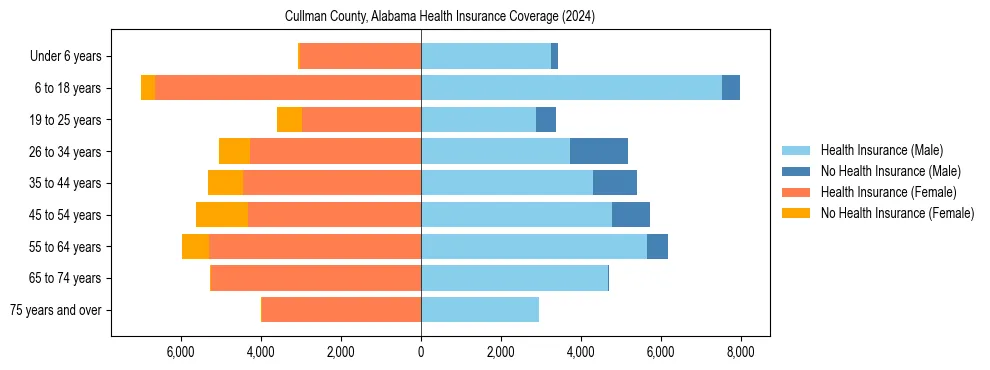 Health insurance pyramid for Cullman County, Alabama