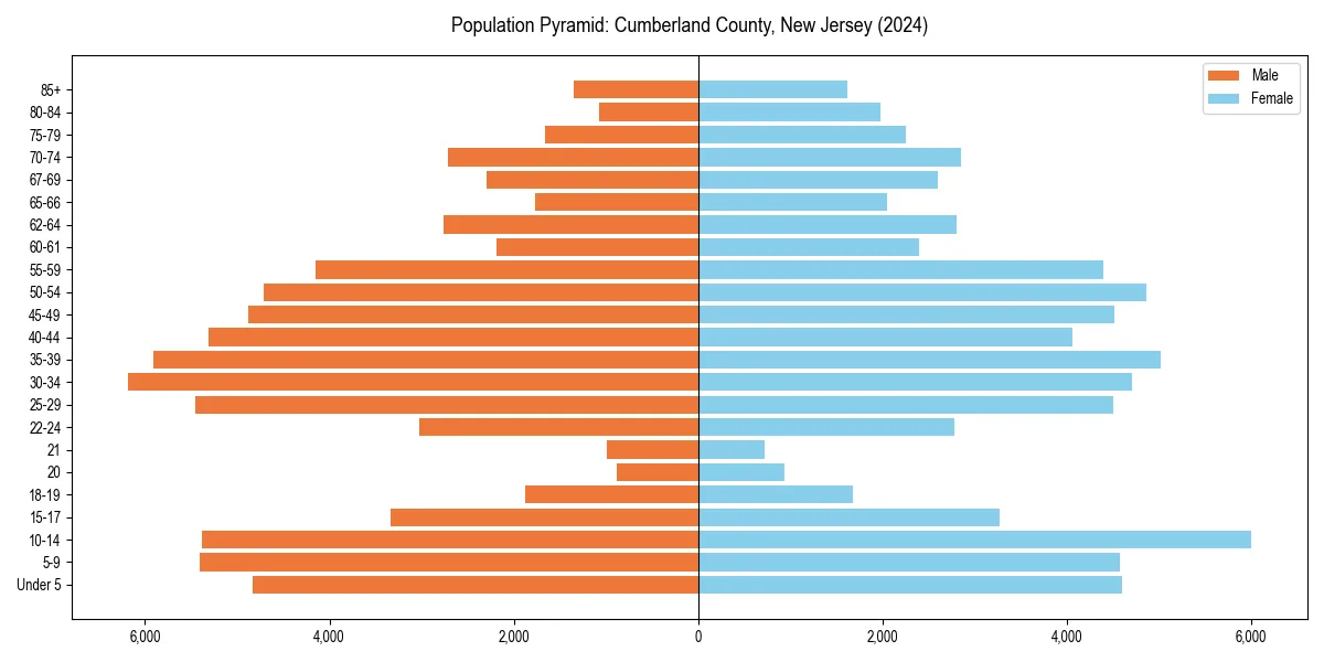 Population pyramid for 